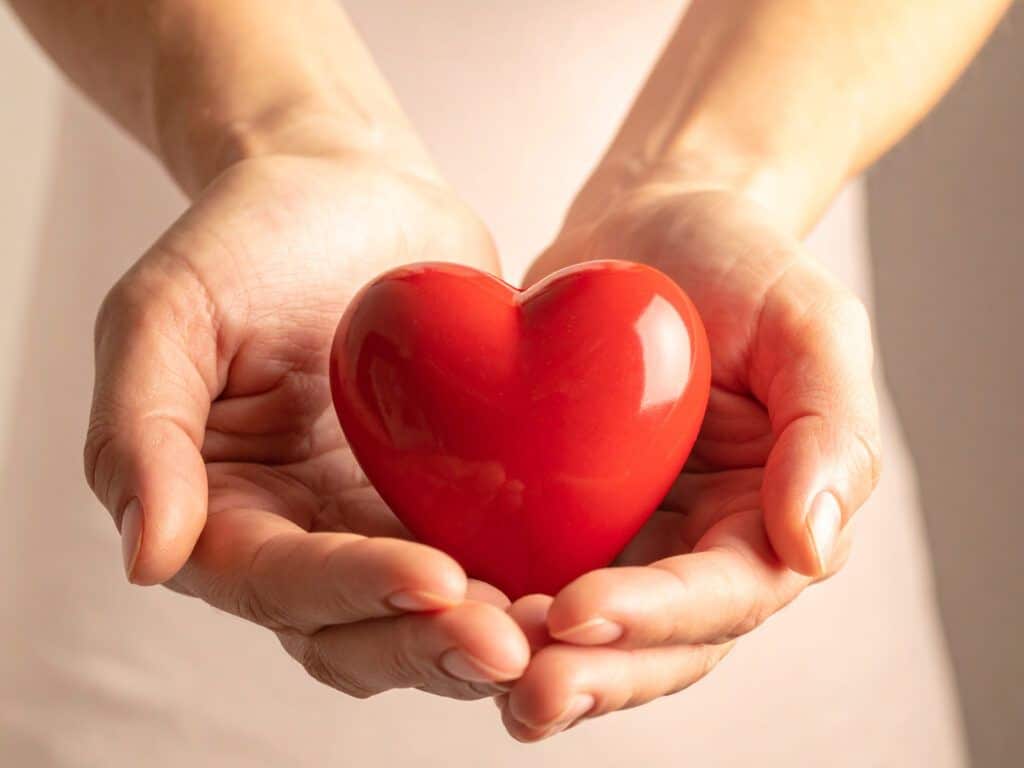 ARMINIUS spendet für Herz und Hand an soziale Vereine in der Region